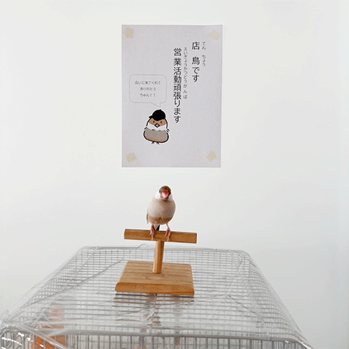 記事画像1