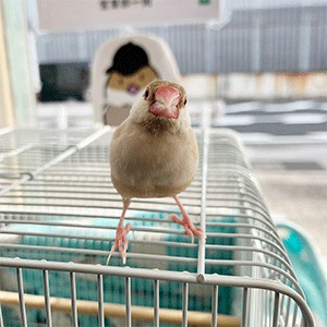 記事画像2