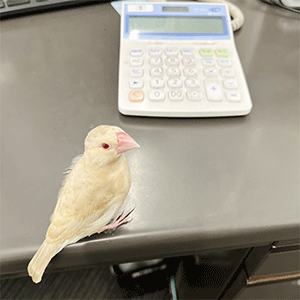 記事画像1